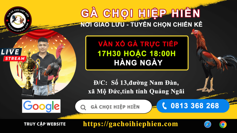 Gà chọi Hiệp Hiền - Quảng Ngãi