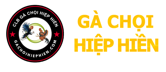 Gà chọi Hiệp Hiền - Quảng Ngãi